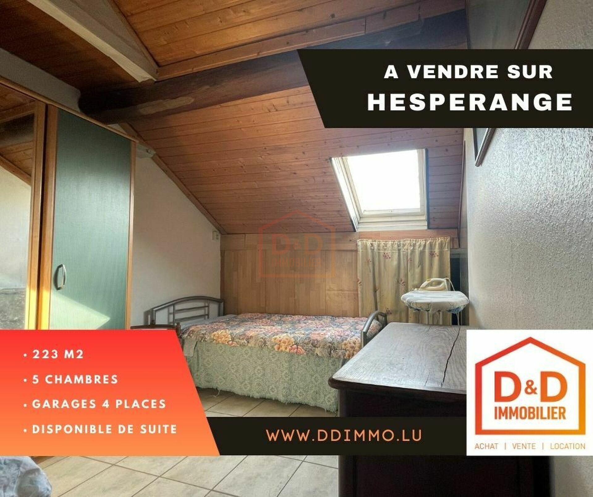 Maison à Hesperange, 223 m², 5 chambres, 2 salles de bain, 4 garages, 1 090 000 €