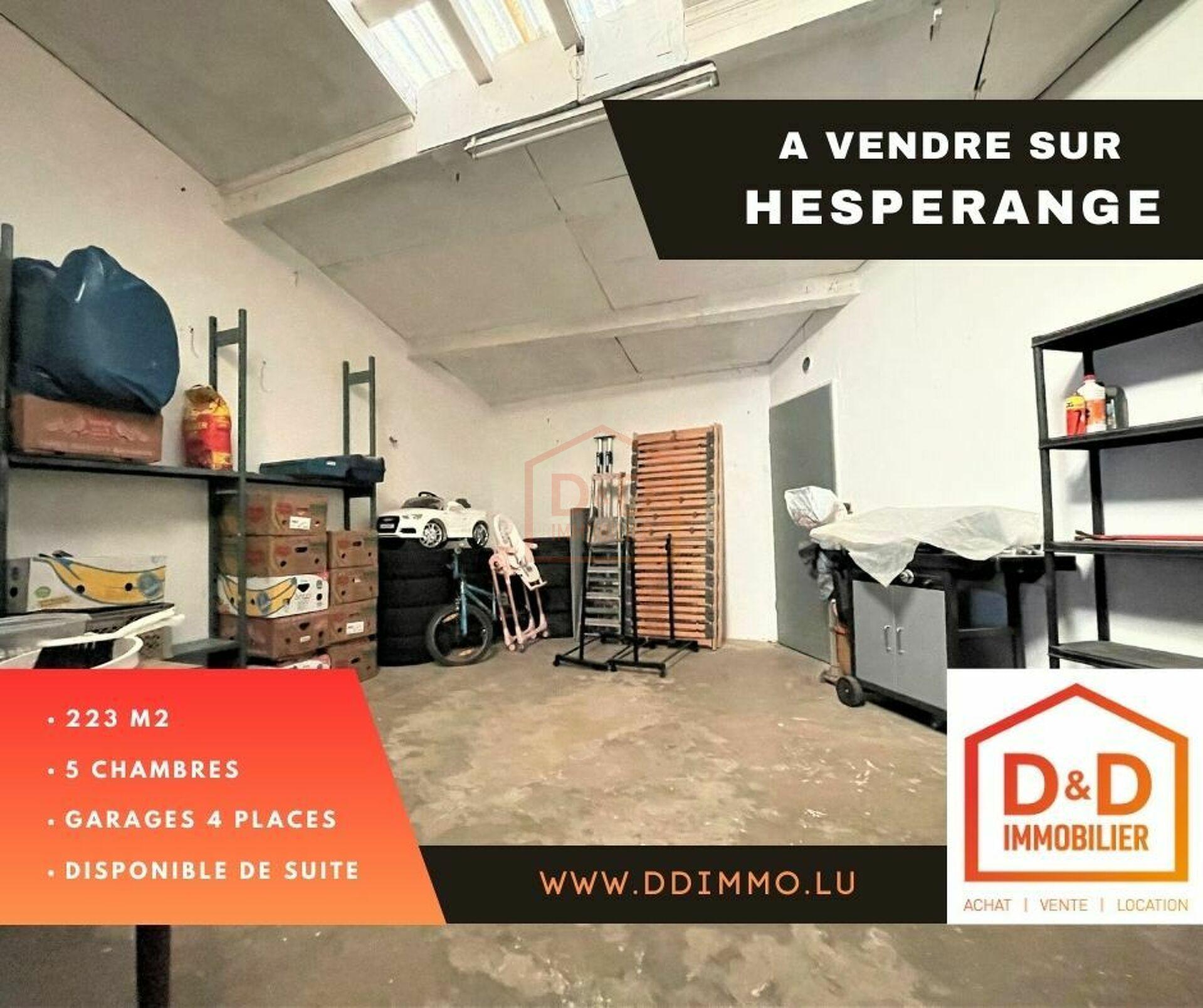 Maison à Hesperange, 223 m², 5 chambres, 2 salles de bain, 4 garages, 1 090 000 €