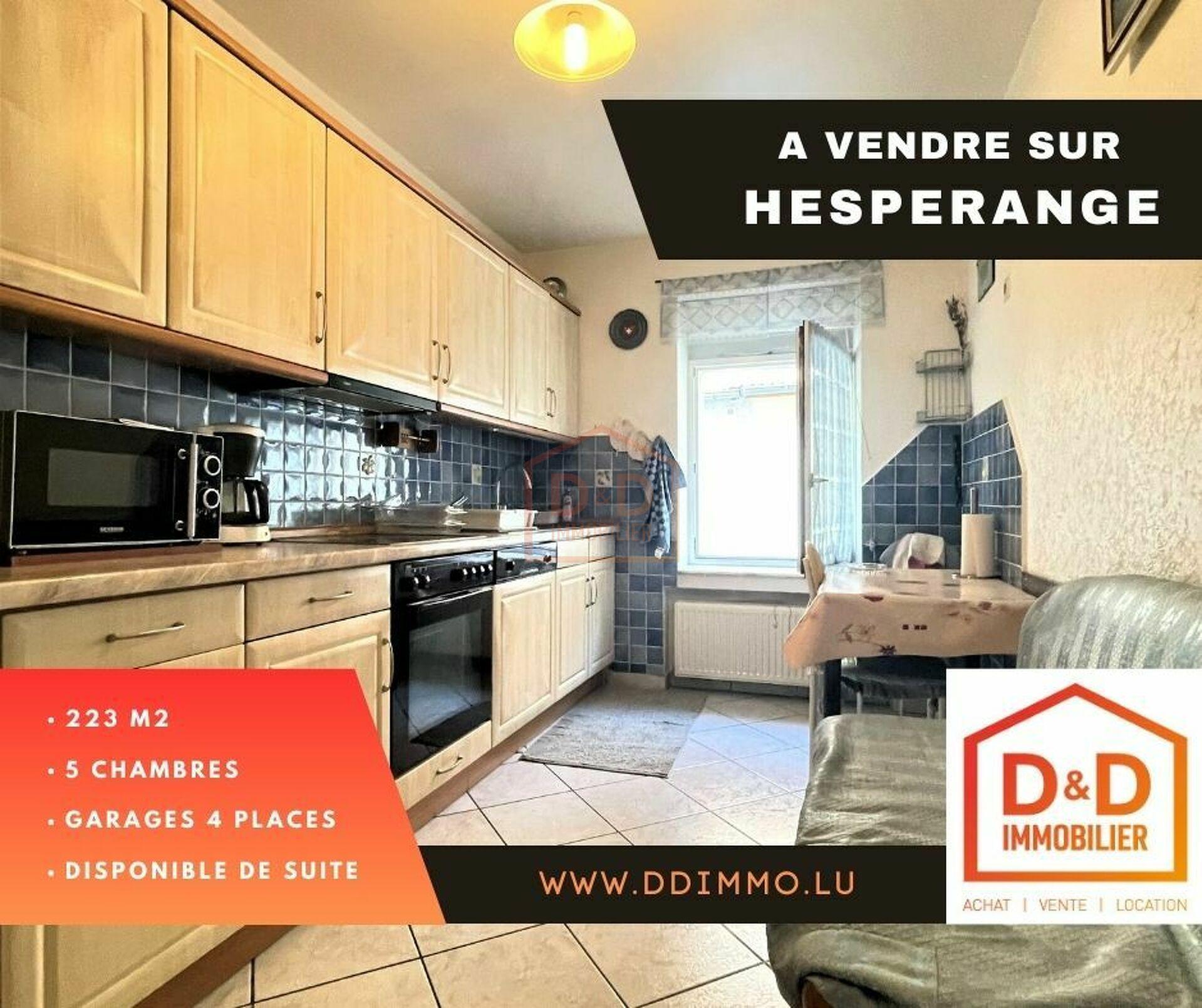 Maison à Hesperange, 223 m², 5 chambres, 2 salles de bain, 4 garages, 1 090 000 €